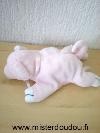 Cochon-0-Rose-ruban-rose-autour-du-cou