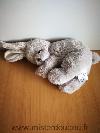 Lapin-Cades-Gris-allonge