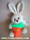 Lapin-Fizzy-Ecru-pull-blanc-sac-carotte-orange-vert