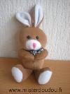 Lapin-Gipsy-Marron-blanc-nez-rose-Petit-modele