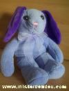Lapin-Magnetic-planet-Violet