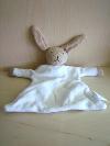 Lapin---Marque-non-connue---Marron-blanc-Une-race-sur-le-bras