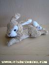 Lapin-Mgm-Beige-ventre-blanc