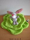 Lapin-Scratch-Lapin-gris-sur-salade-verte