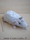 Rat-Ikea-Gris