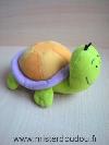 Tortue-Atlas-Vert-orange-violet