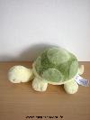 Tortue-H-et-m-Vert